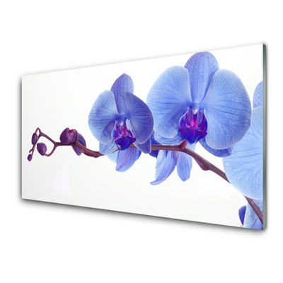 Kitchen Splashback Flowers floral blue purple