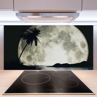 Kitchen Splashback Night moon palm landscape black grey white