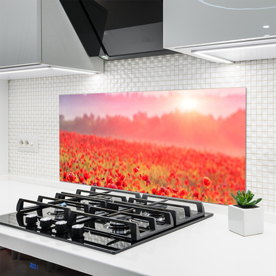 Kitchen Splashback Meadow flowers nature red green