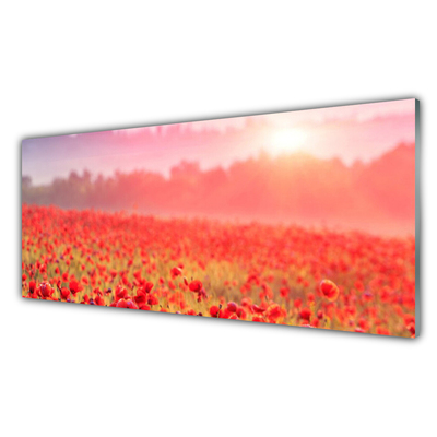 Kitchen Splashback Meadow flowers nature red green