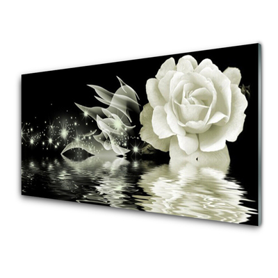 Kitchen Splashback Rose floral white black