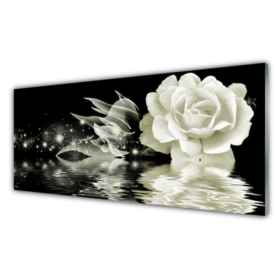 Kitchen Splashback Rose floral white black
