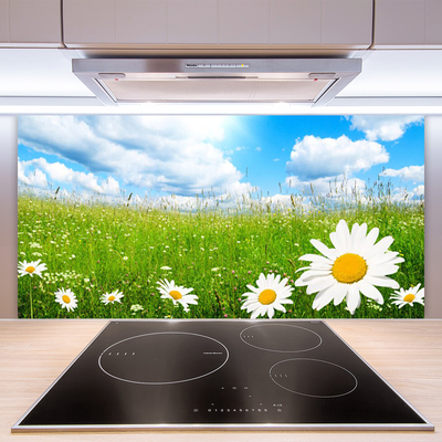 Kitchen Splashback Daisy grass nature white yellow green