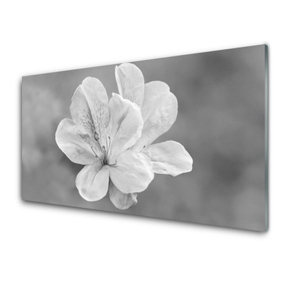Kitchen Splashback Flowers floral white grey