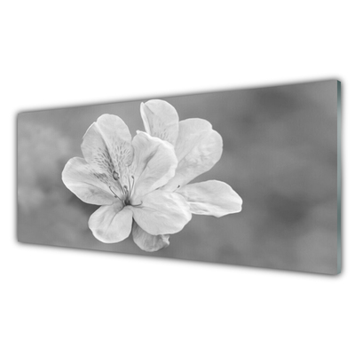 Kitchen Splashback Flowers floral white grey