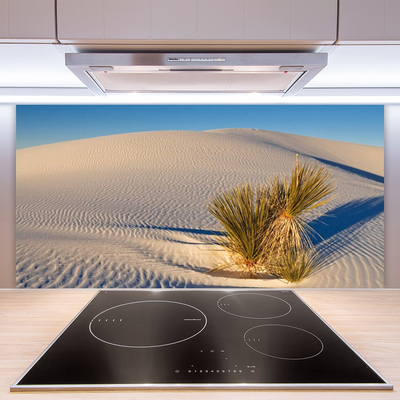 Kitchen Splashback Desert landscape brown green