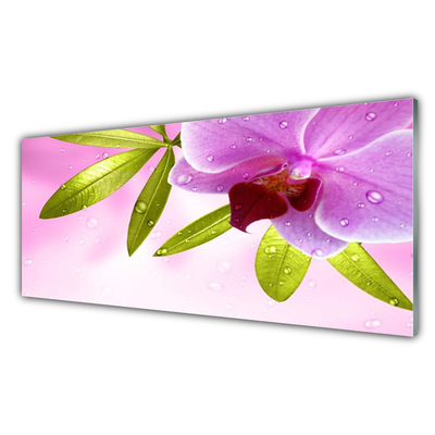 Kitchen Splashback Flower leaves floral pink green