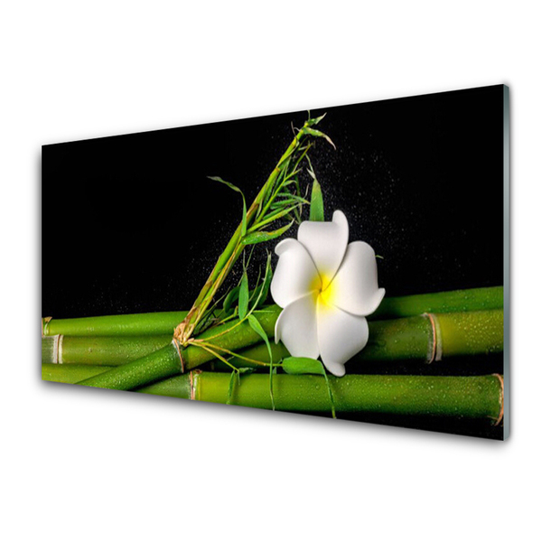 Kitchen Splashback Bamboo flower floral white green