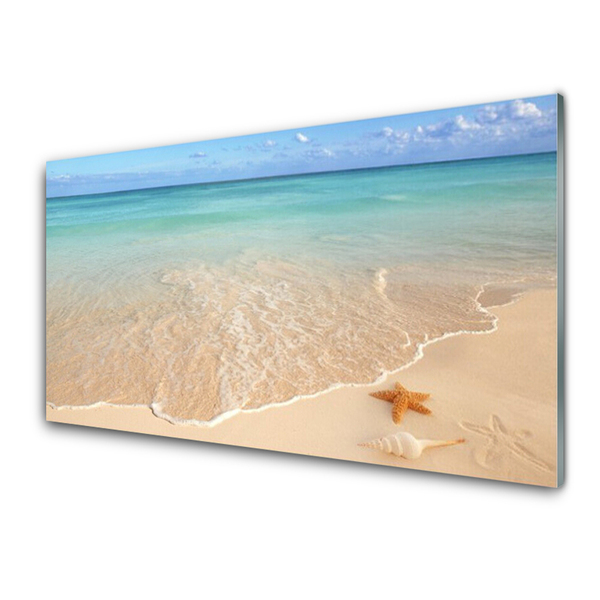Kitchen Splashback Sea beach starfish landscape blue brown