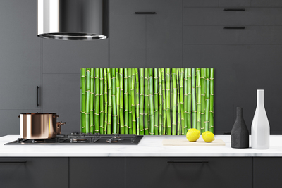 Kitchen Splashback Bamboo floral green
