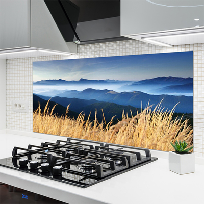 Kitchen Splashback Field landscape blue white yellow