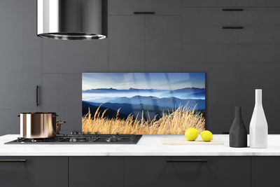 Kitchen Splashback Field landscape blue white yellow