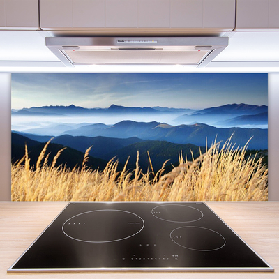 Kitchen Splashback Field landscape blue white yellow