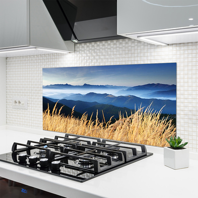 Kitchen Splashback Field landscape blue white yellow