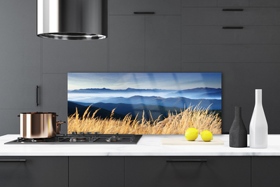 Kitchen Splashback Field landscape blue white yellow