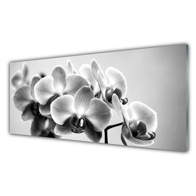 Kitchen Splashback Flowers floral grey