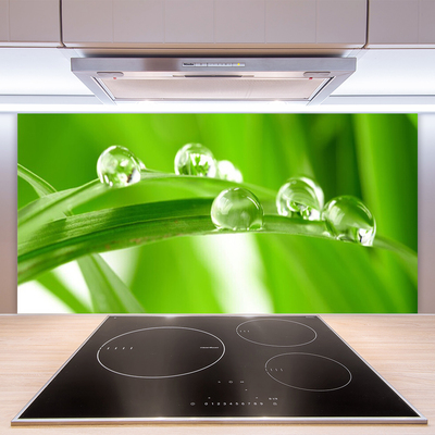 Kitchen Splashback Leaves floral green