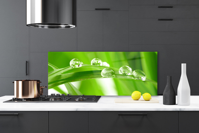 Kitchen Splashback Leaves floral green