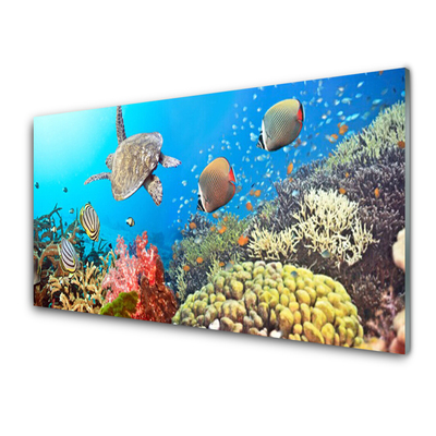 Kitchen Splashback Coral reef landscape multi