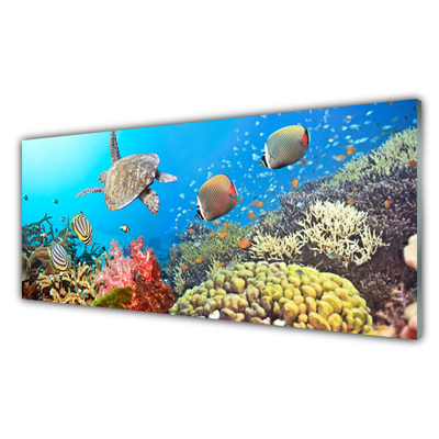 Kitchen Splashback Coral reef landscape multi