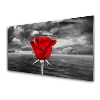 Kitchen Splashback Rose floral red grey
