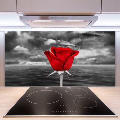 Kitchen Splashback Rose floral red grey