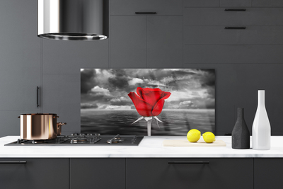 Kitchen Splashback Rose floral red grey