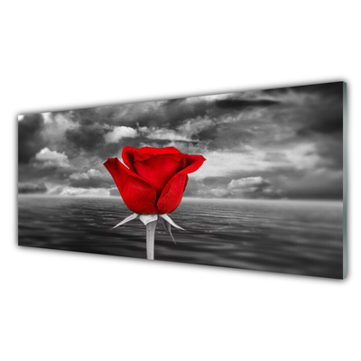 Kitchen Splashback Rose floral red grey