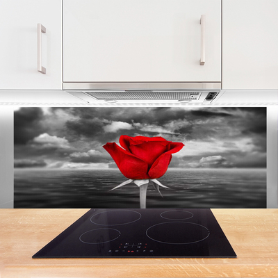 Kitchen Splashback Rose floral red grey