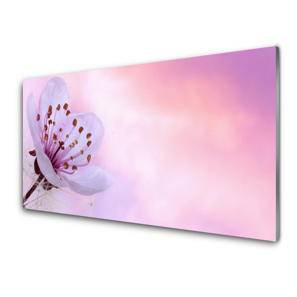 Kitchen Splashback Flower floral pink