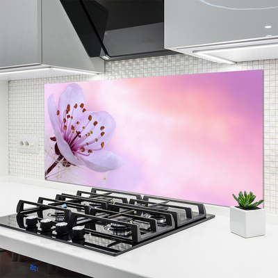 Kitchen Splashback Flower floral pink