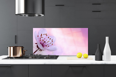 Kitchen Splashback Flower floral pink