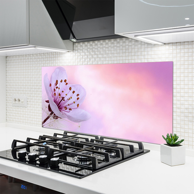 Kitchen Splashback Flower floral pink