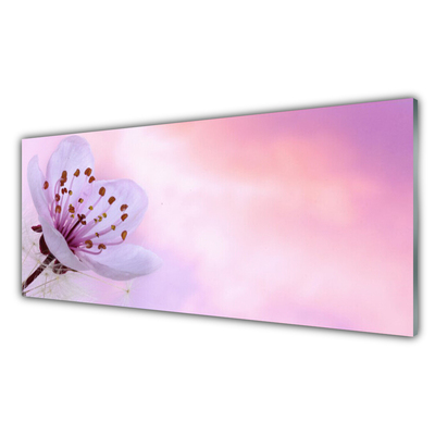 Kitchen Splashback Flower floral pink