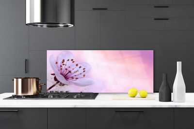 Kitchen Splashback Flower floral pink