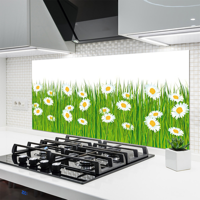 Kitchen Splashback Grass daisies nature green white yellow