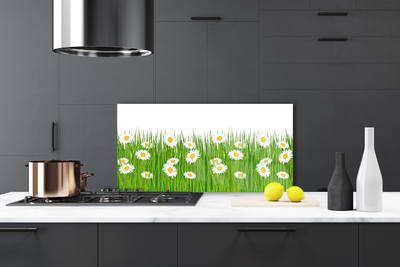 Kitchen Splashback Grass daisies nature green white yellow