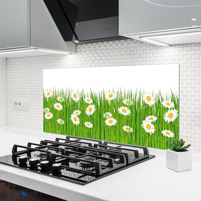 Kitchen Splashback Grass daisies nature green white yellow