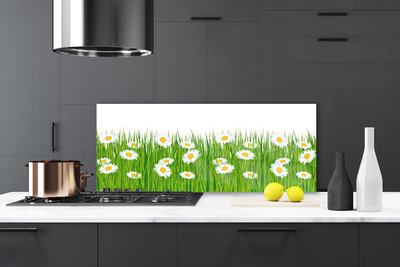 Kitchen Splashback Grass daisies nature green white yellow