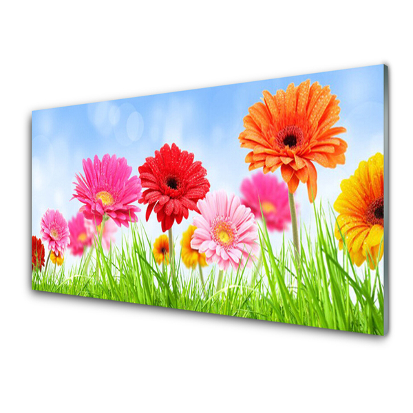 Kitchen Splashback Flowers grass floral multi