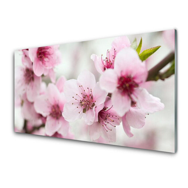 Kitchen Splashback Flowers floral pink