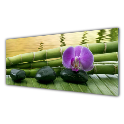 Kitchen Splashback Flower stones bamboo stalks floral pink black green