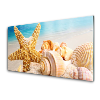 Kitchen Splashback Starfish shells art yellow white