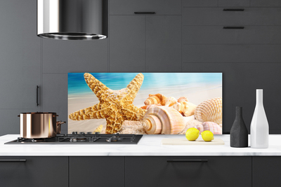 Kitchen Splashback Starfish shells art yellow white