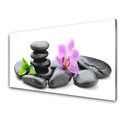 Kitchen Splashback Flower stones art pink black