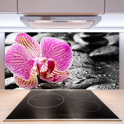 Kitchen Splashback Flower stones floral pink black