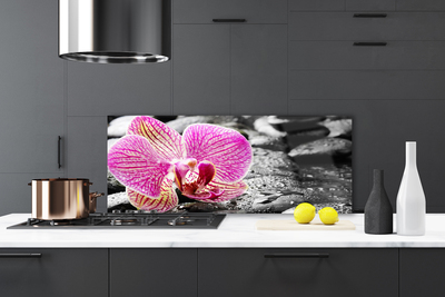 Kitchen Splashback Flower stones floral pink black