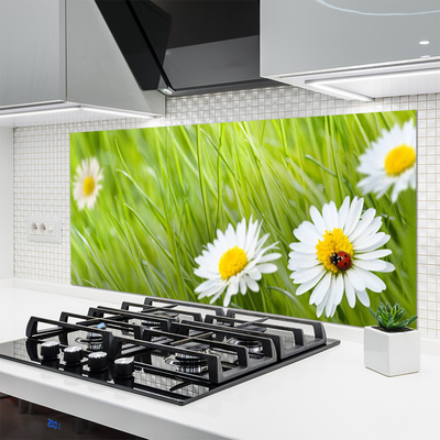 Kitchen Splashback Grass daisies nature white green