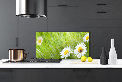 Kitchen Splashback Grass daisies nature white green