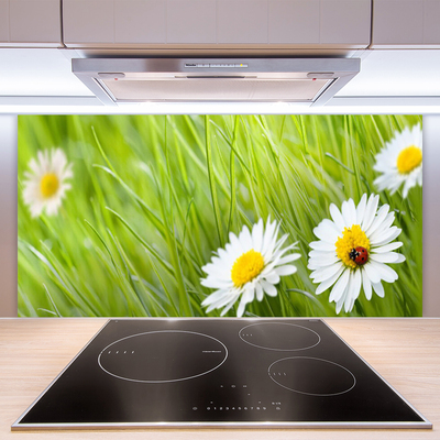 Kitchen Splashback Grass daisies nature white green